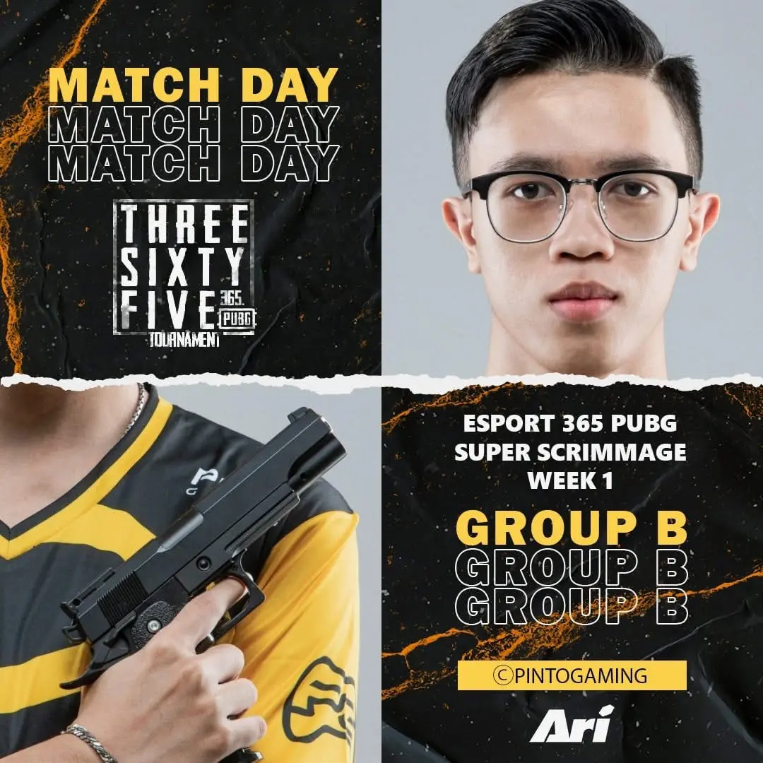 Pinto Gaming player portrait